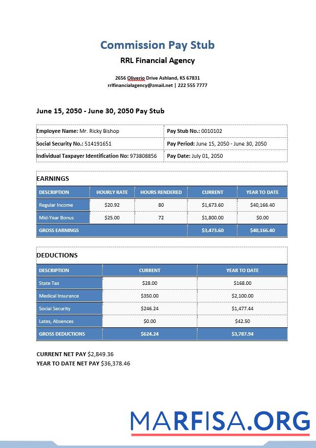 Downloadable Commission Pay Stub real example